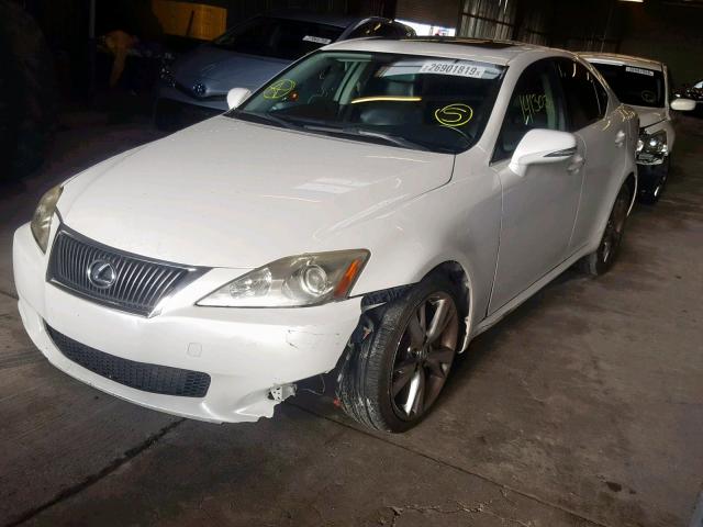 JTHBE262692016962 - 2009 LEXUS IS 350 WHITE photo 2