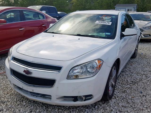1G1ZC5EU9BF392881 - 2011 CHEVROLET MALIBU 1LT 白色 照片 2