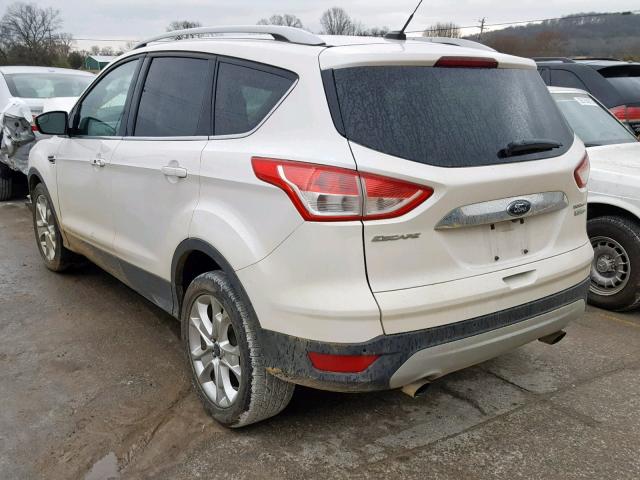 1FMCU0J98EUB69130 - 2014 FORD ESCAPE TIT WHITE photo 3