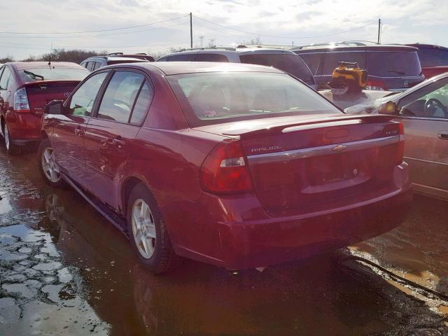 1G1ZT54885F215747 - 2005 CHEVROLET MALIBU LS Tünd qırmızı foto 3