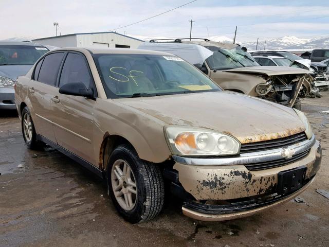 1G1ZT528X4F209756 - 2004 CHEVROLET MALIBU LS GOLD photo 1
