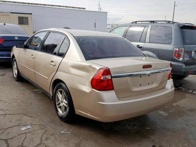 1G1ZT528X4F209756 - 2004 CHEVROLET MALIBU LS GOLD photo 3