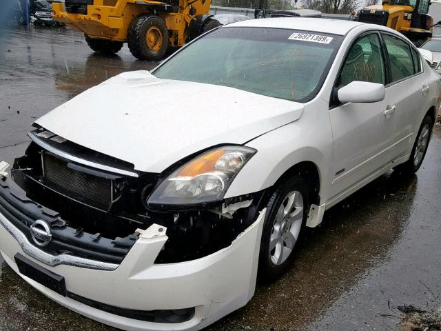 1N4CL21E37C230222 - 2007 NISSAN ALTIMA HYB WHITE photo 2