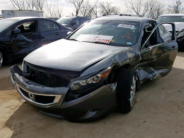 1HGCS128X8A004175 - 2008 HONDA ACCORD EXL GRAY photo 2