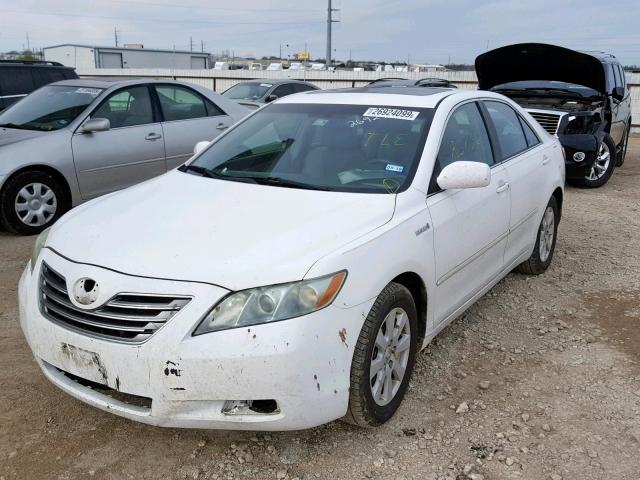 4T1BB46K28U056671 - 2008 TOYOTA CAMRY HYBR WHITE photo 2