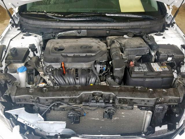 5NPE34AF4GH391397 - 2016 HYUNDAI SONATA SPO WHITE photo 7