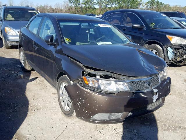 KNAFU4A21D5683550 - 2013 KIA FORTE EX BROWN photo 1