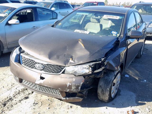 KNAFU4A21D5683550 - 2013 KIA FORTE EX BROWN photo 2