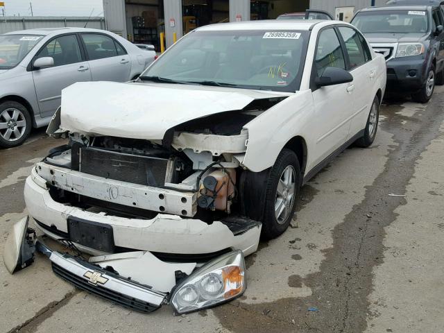 1G1ZT52855F301956 - 2005 CHEVROLET MALIBU LS WHITE photo 2