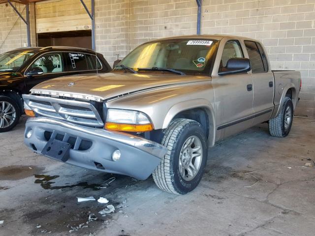 1D7HL48NX3S374728 - 2003 DODGE DAKOTA QUA TAN photo 2