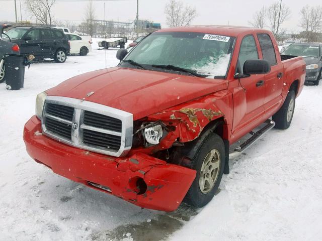 1D7HW48N75S158507 - 2005 DODGE DAKOTA QUA RED photo 2