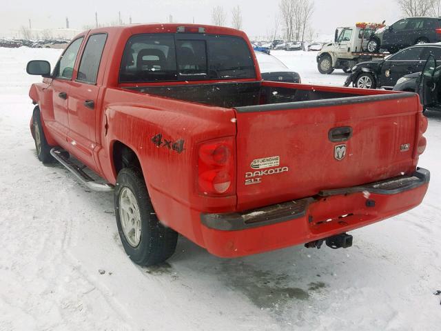 1D7HW48N75S158507 - 2005 DODGE DAKOTA QUA RED photo 3