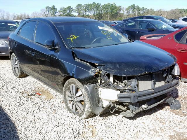 KNAFU4A22D5732254 - 2013 KIA FORTE EX BLACK photo 1