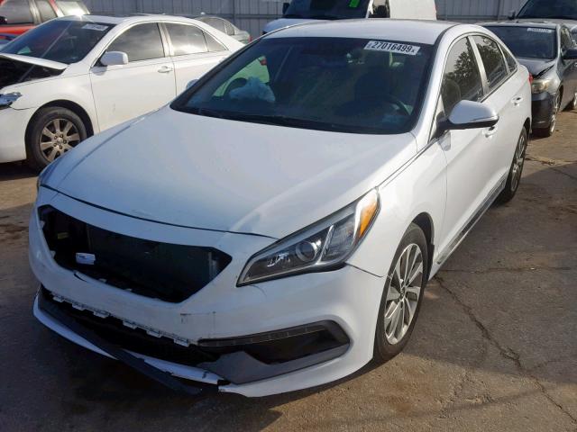 5NPE34AF4FH070619 - 2015 HYUNDAI SONATA SPO WHITE photo 2