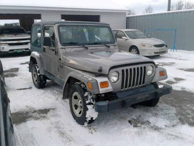 1J4FA39S62P727953 - 2002 JEEP WRANGLER / GRAY photo 1