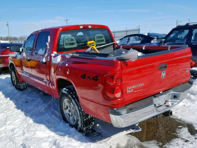 1D7HW48N65S200049 - 2005 DODGE DAKOTA QUA RED photo 3