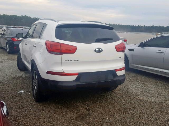 KNDPC3AC2G7845787 - 2016 KIA SPORTAGE E WHITE photo 3