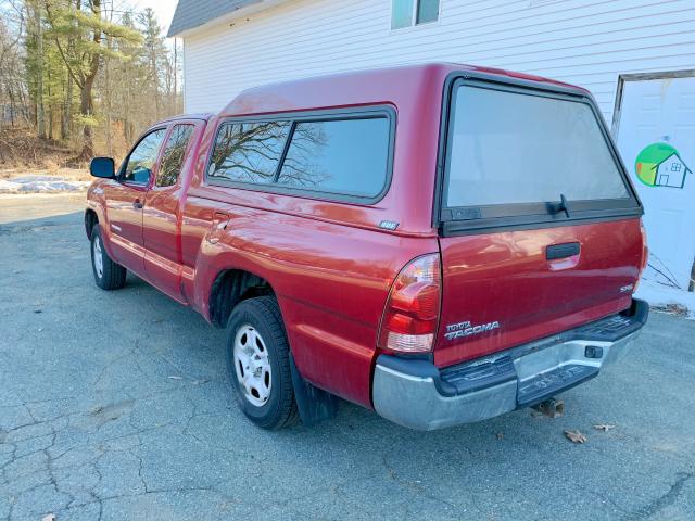 5TETX22N36Z188339 - 2006 TOYOTA TACOMA ACC BURGUNDY photo 3