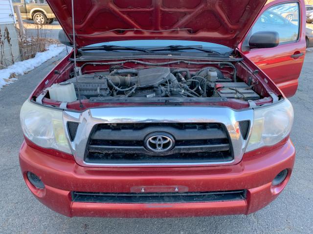 5TETX22N36Z188339 - 2006 TOYOTA TACOMA ACC BURGUNDY photo 8