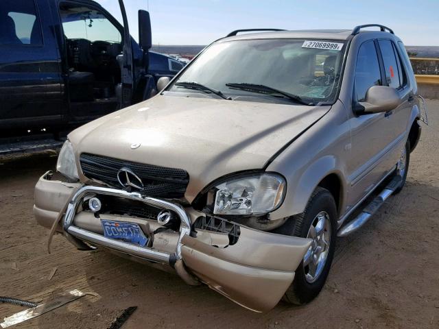 4JGAB54E51A264260 - 2001 MERCEDES-BENZ ML 320 GOLD photo 2