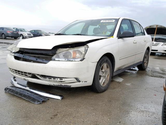 1G1ZT54835F168093 - 2005 CHEVROLET MALIBU LS 白色 照片 2