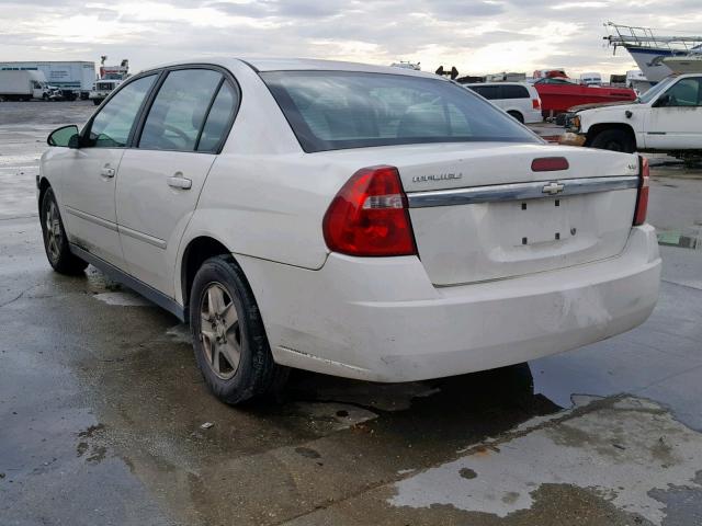 1G1ZT54835F168093 - 2005 CHEVROLET MALIBU LS 白色 照片 3