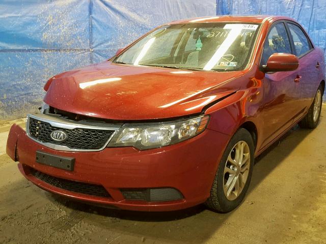 KNAFU4A2XC5497214 - 2012 KIA FORTE EX RED photo 2