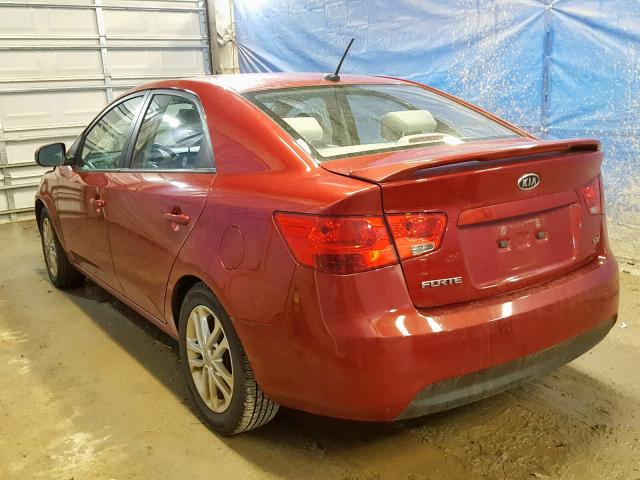 KNAFU4A2XC5497214 - 2012 KIA FORTE EX RED photo 3