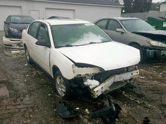 1G1ZT52864F138426 - 2004 CHEVROLET MALIBU LS Ağ foto 1