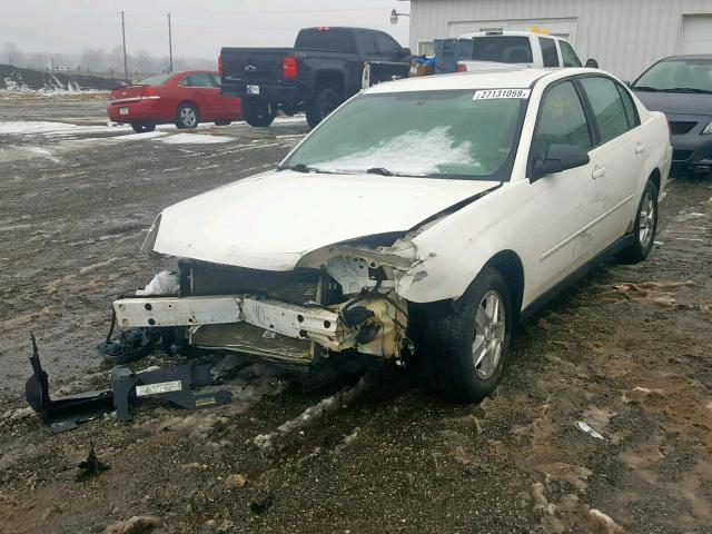 1G1ZT52864F138426 - 2004 CHEVROLET MALIBU LS Ağ foto 2