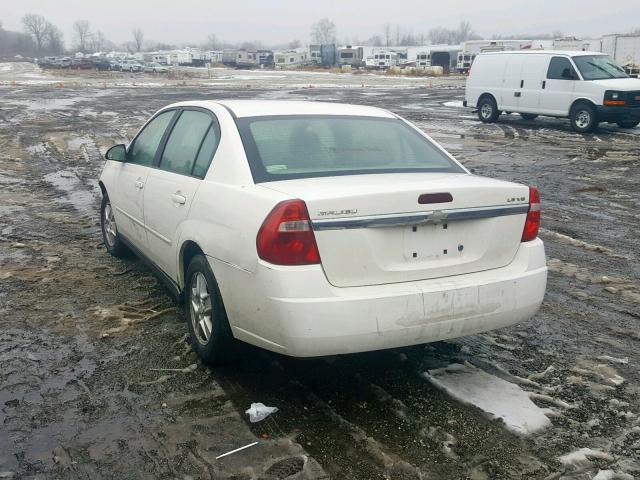 1G1ZT52864F138426 - 2004 CHEVROLET MALIBU LS Ağ foto 3