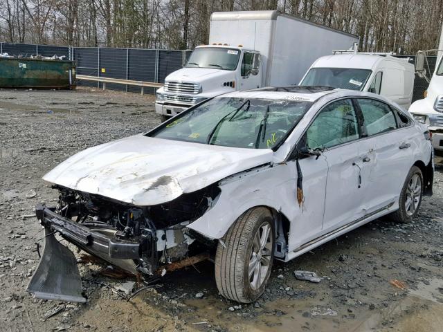 5NPE34AF5JH617051 - 2018 HYUNDAI SONATA SPO WHITE photo 2