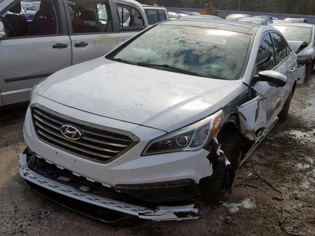 5NPE34AF1FH078452 - 2015 HYUNDAI SONATA SPO WHITE photo 2