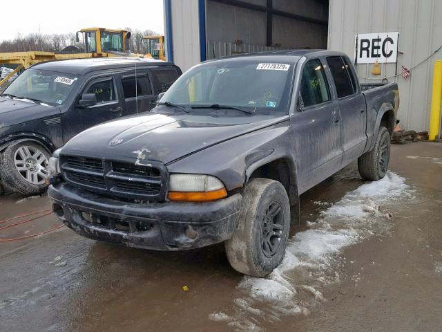 1D7HG38K54S568637 - 2004 DODGE DAKOTA QUA GRAY photo 2