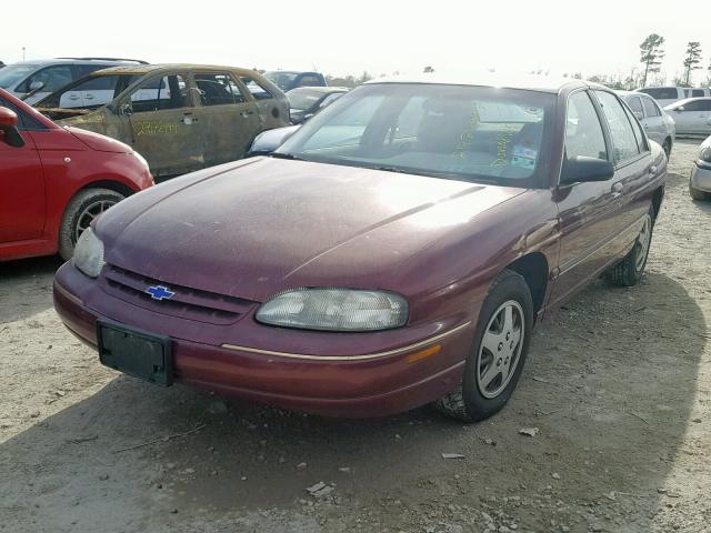 2G1WL52M7T1195630 - 1996 CHEVROLET LUMINA BURGUNDY photo 2