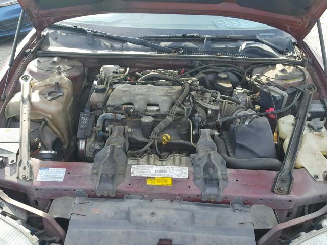 2G1WL52M7T1195630 - 1996 CHEVROLET LUMINA BURGUNDY photo 7