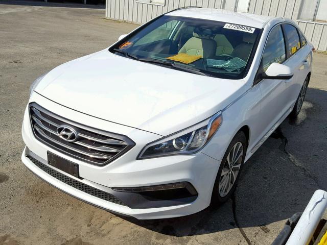 5NPE34AF1GH330864 - 2016 HYUNDAI SONATA SPO WHITE photo 2