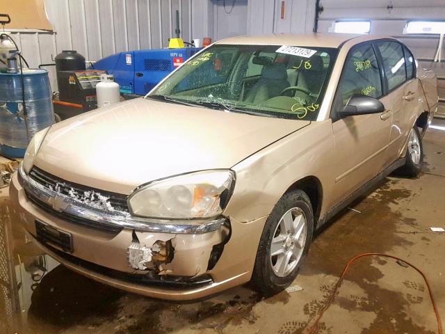 1G1ZT52825F103920 - 2005 CHEVROLET MALIBU LS GOLD photo 2