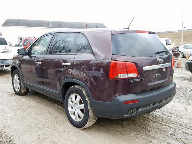 5XYKT3A15BG129843 - 2011 KIA SORENTO BA PURPLE photo 3