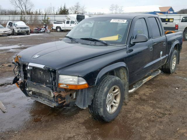 1D7HL38N04S768296 - 2004 DODGE DAKOTA QUA BLACK photo 2