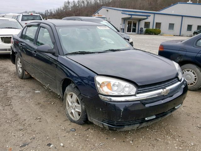 1G1ZT52824F178258 - 2004 CHEVROLET MALIBU LS BLACK photo 1