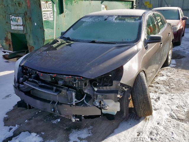 1G11B5SA2DF305982 - 2013 CHEVROLET MALIBU LS GRAY photo 2