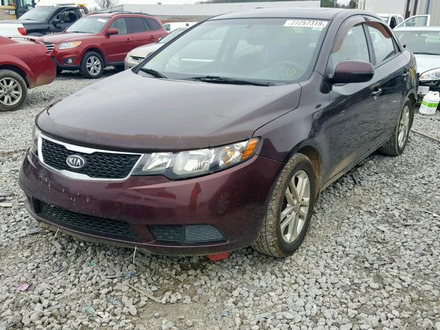 KNAFU4A26B5391065 - 2011 KIA FORTE EX BURGUNDY photo 2