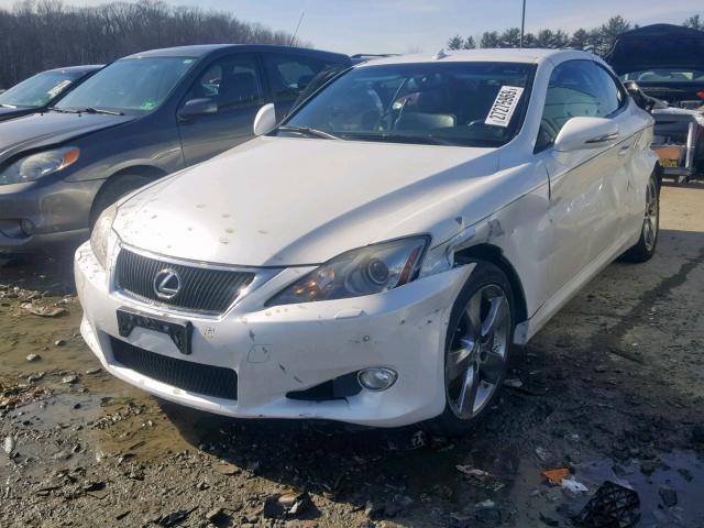 JTHFE2C21A2502623 - 2010 LEXUS IS 350 WHITE photo 2