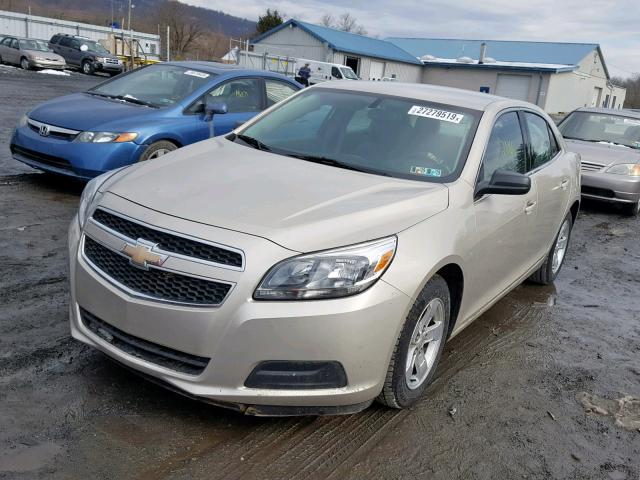1G11B5SA9DF282040 - 2013 CHEVROLET MALIBU LS TAN photo 2