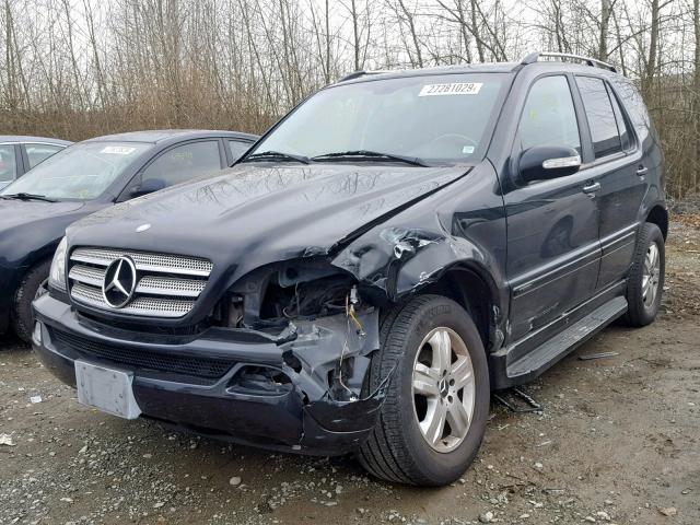 4JGAB57E55A560459 - 2005 MERCEDES-BENZ ML 350 BLACK photo 2