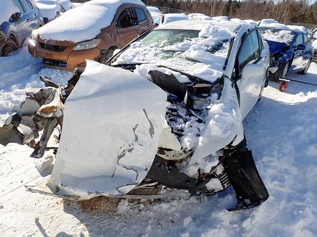 2HGFA16288H011679 - 2008 HONDA CIVIC DX WHITE photo 2