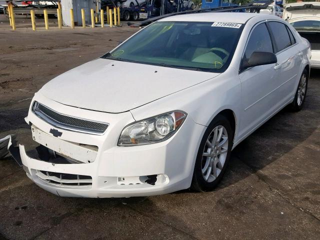 1G1ZA5EU4BF108031 - 2011 CHEVROLET MALIBU LS 白色 照片 2