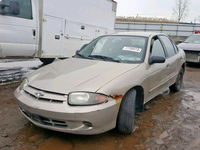 1G1JF52FX37121785 - 2003 CHEVROLET CAVALIER L GOLD photo 2