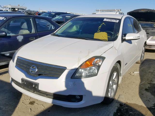 1N4CL21E18C210715 - 2008 NISSAN ALTIMA HYB WHITE photo 2